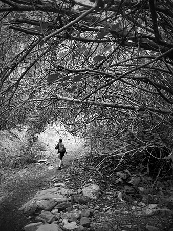 Holy Jim Trail, Trabuco Canyon, Orange County